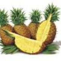 فروش کنسانتره آناناس-آناناس