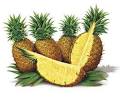 فروش کنسانتره آناناس-آناناس